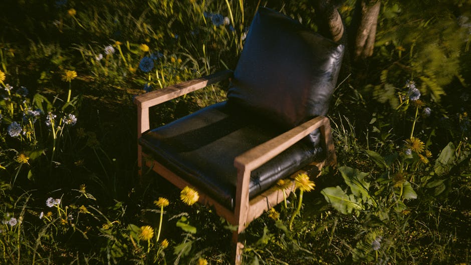 Chair in a garden
